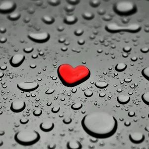 Meet your Posher, Judi